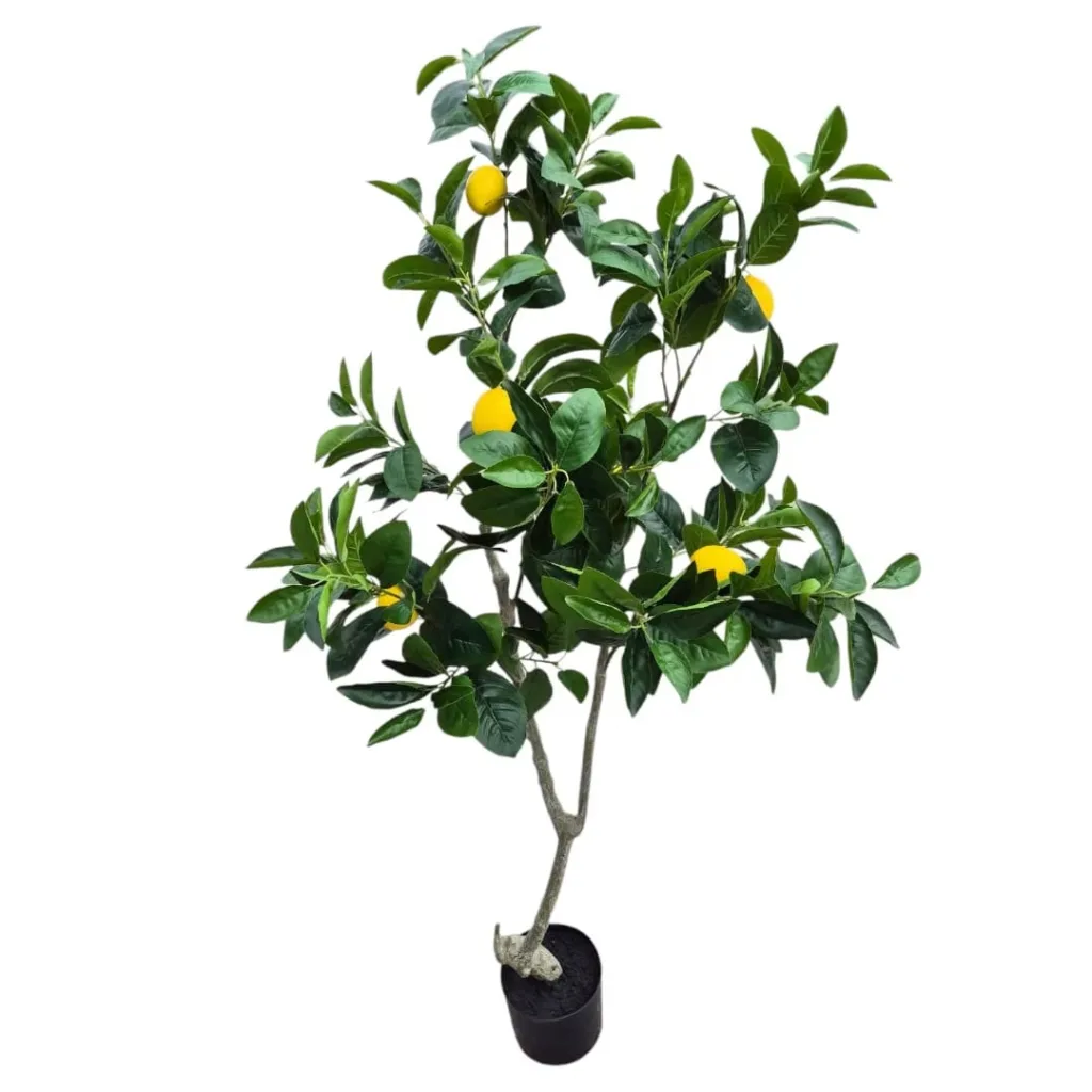 Lemon tree – 150 cm