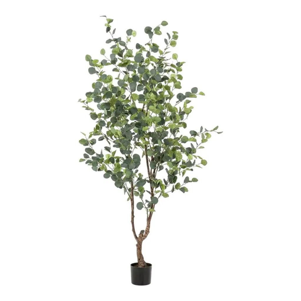 Eucalyptus tree – 180 cm