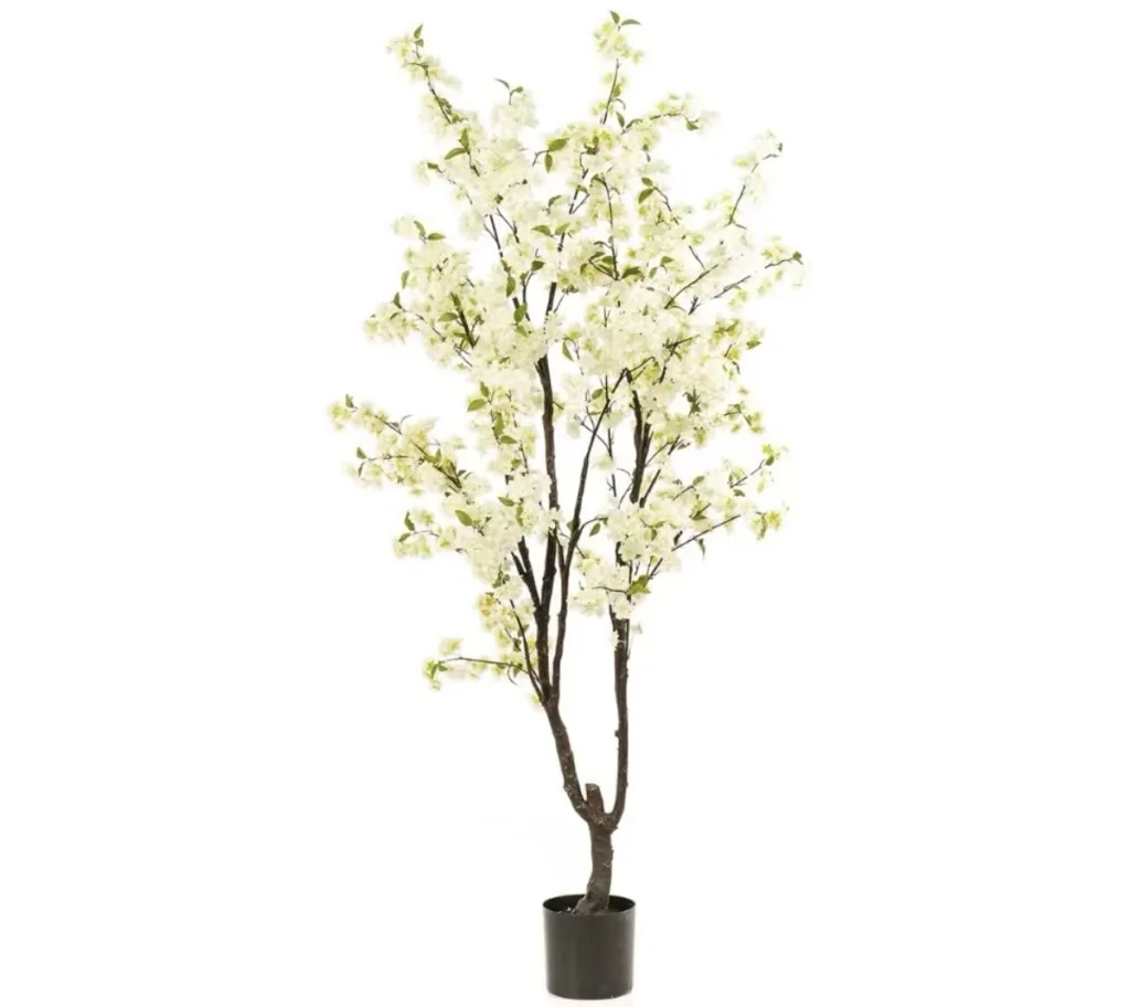 Cherry blossom tree – 210 cm