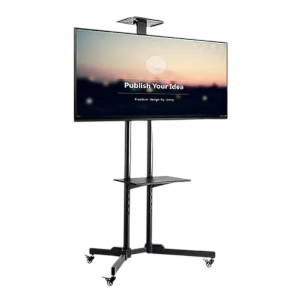 Television with stand