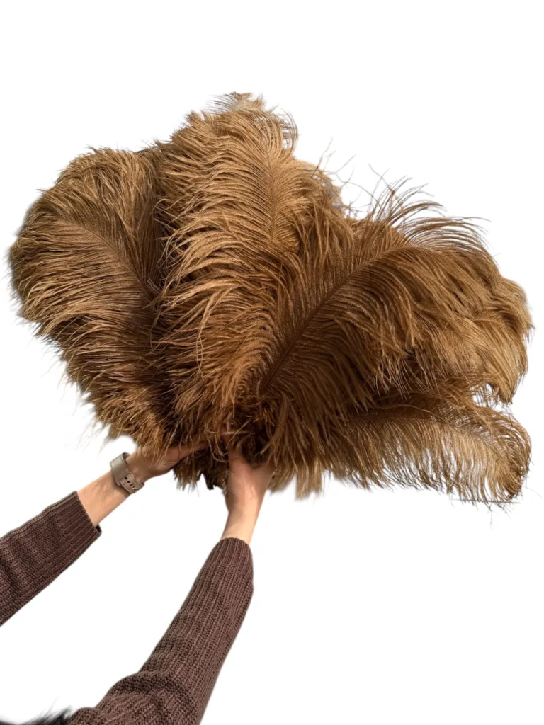 Brown feathers