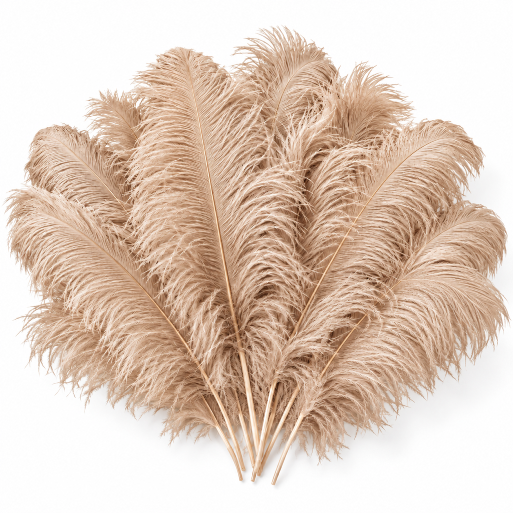 Beige feathers