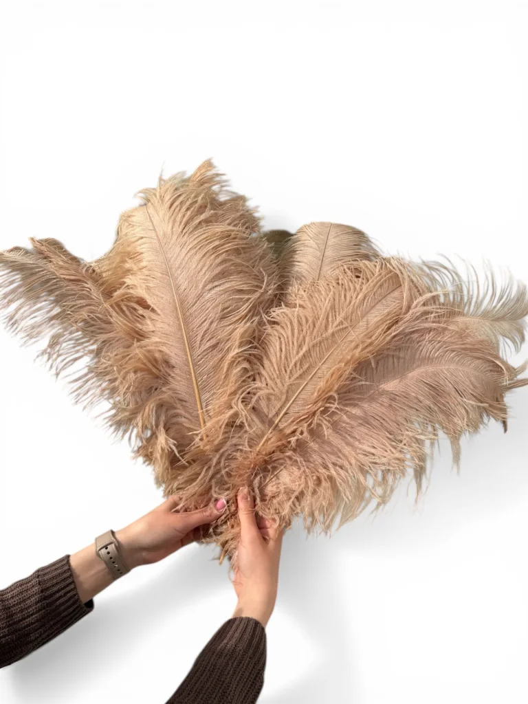 Beige feather