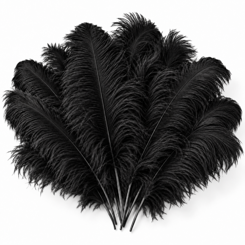 Black feathers