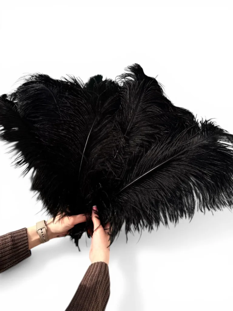 Black feathers