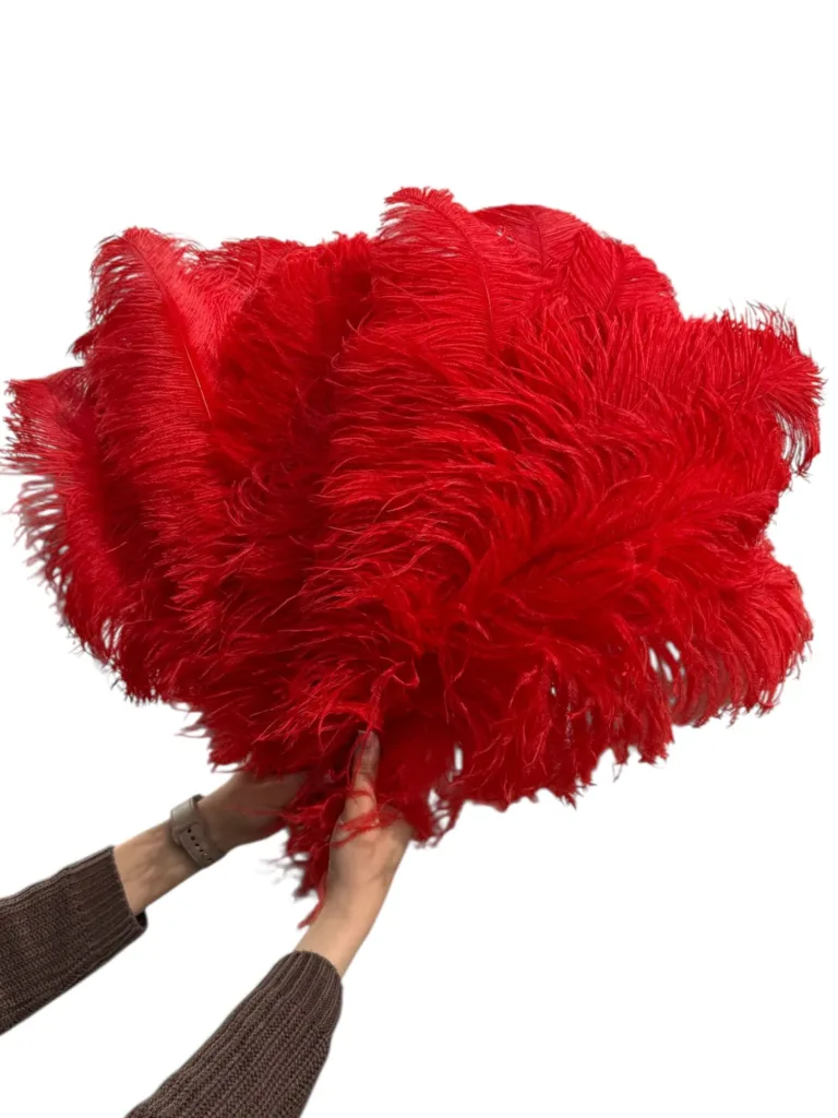 Red feathers