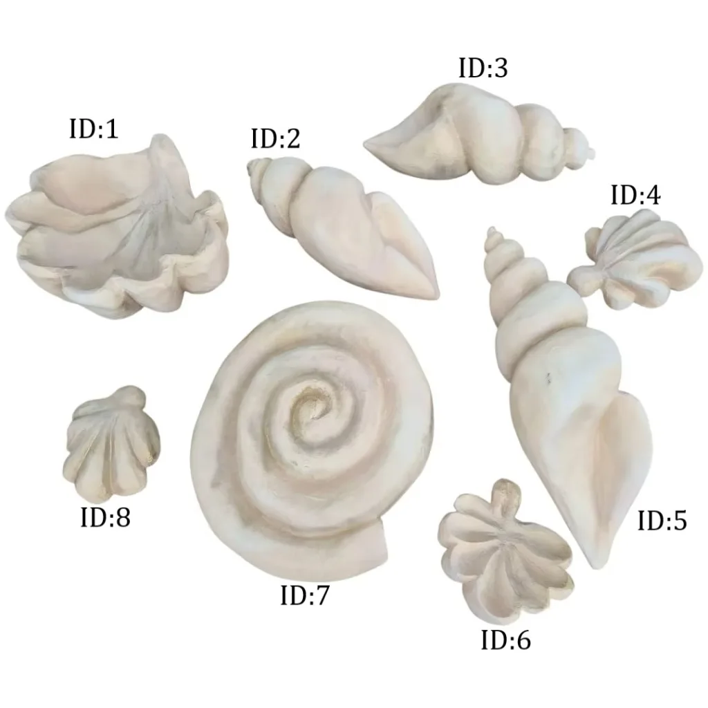 Clamshells