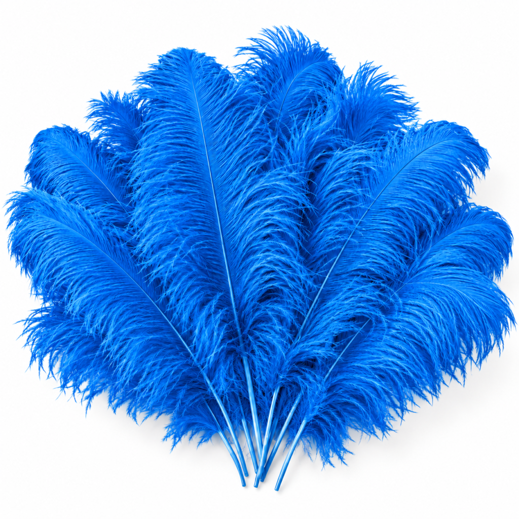 Blue feathers