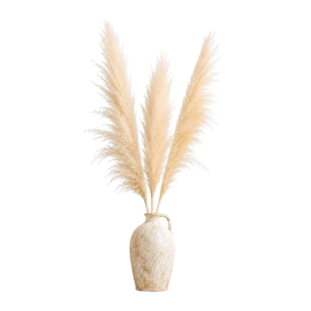 Dried beige pampas grass