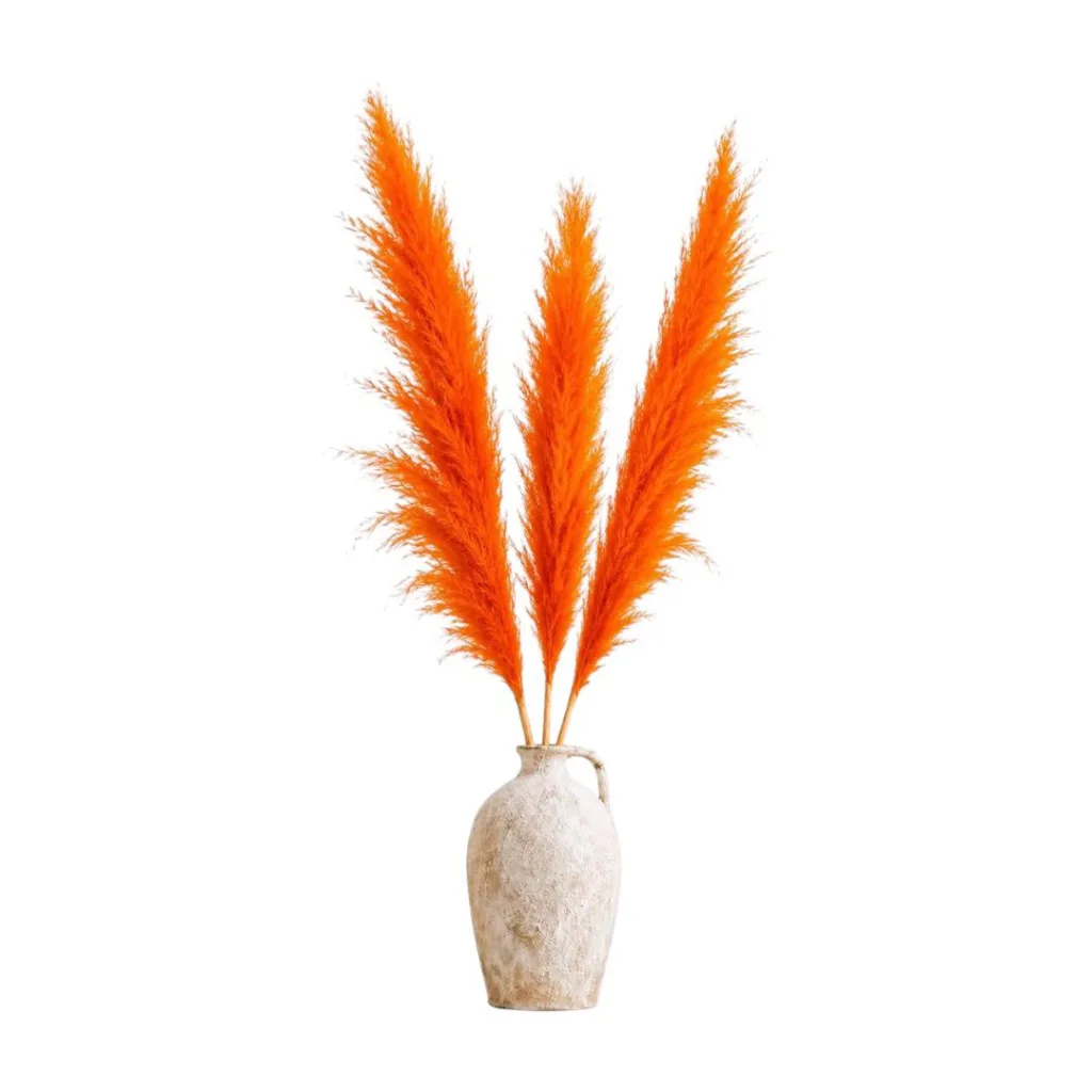 Dried orange pampas grass