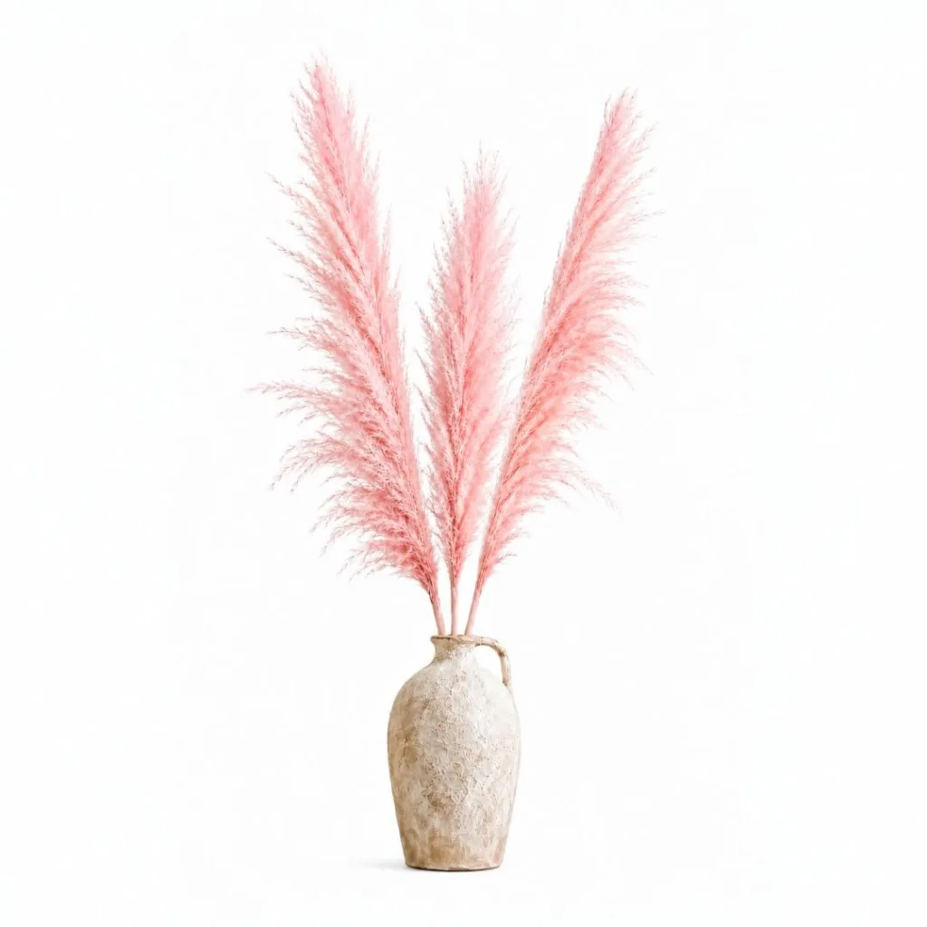Dried light pink pampas grass