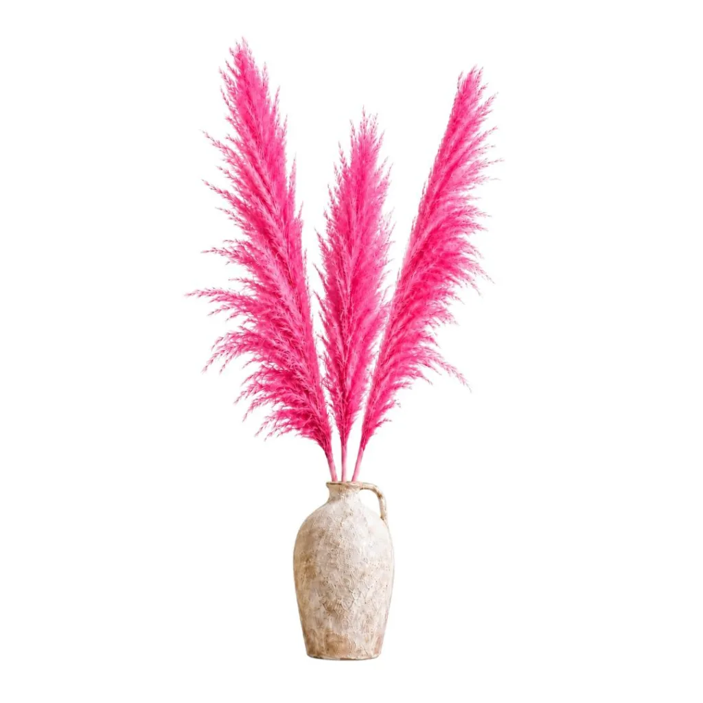Dried fuchsia pampas grass